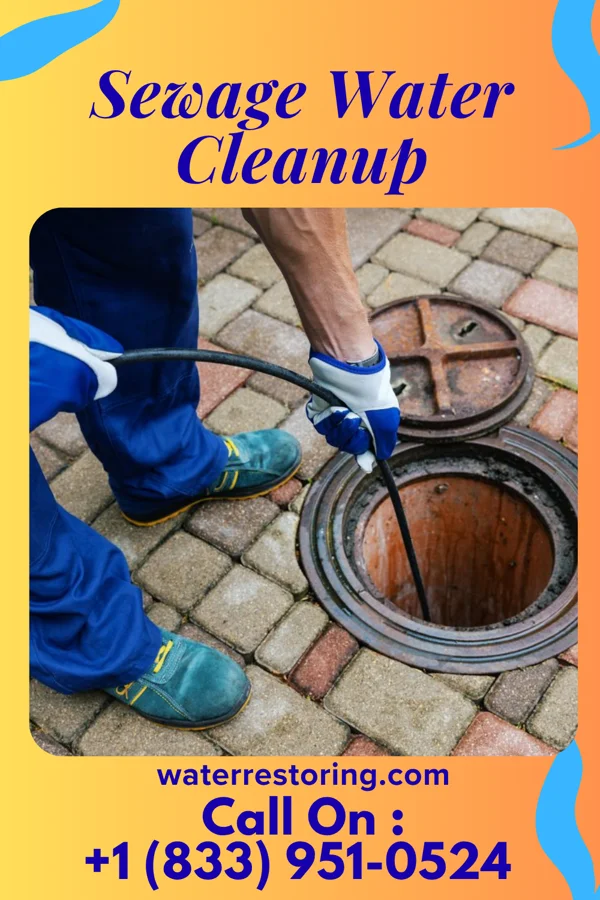 Sewage Water Cleanup in Stagecoach, TX